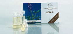 casmara_repair_ampul